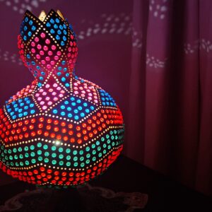 20250201_185017 Cam Kırıkları Su Kabağı