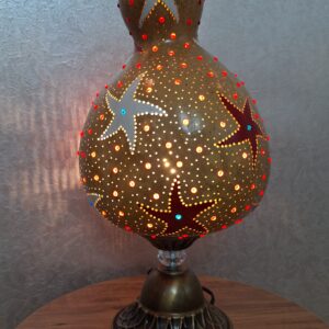 20260129_192525 Deniz Yıldızı Kırmızı Beyaz Su Kabağı